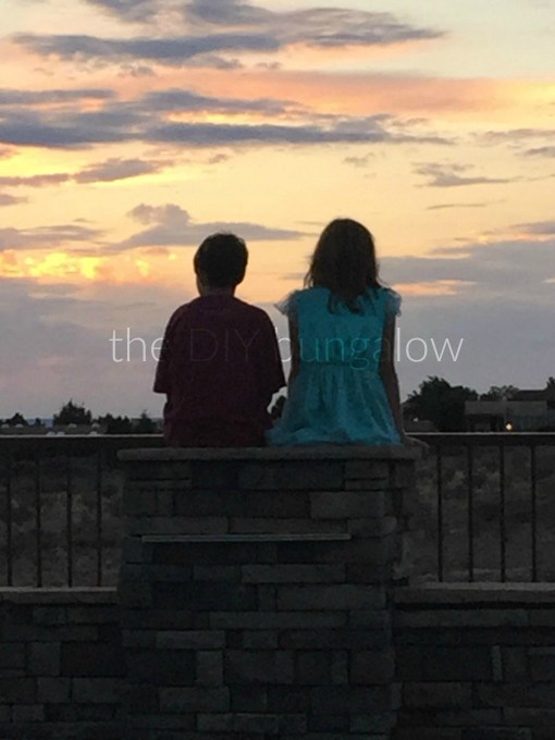 Best friends - thediybungalow.com