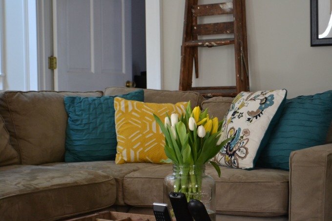 Family Room Funky Smell&nbsp;Update