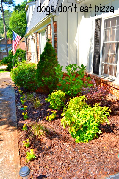 Five things to do now that spring is here including cleaning up the beds - thediybungalow.com