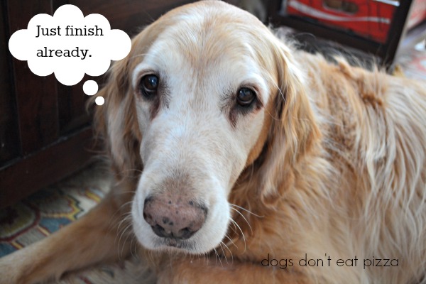 What Hank thinks - Dogs Don't Eat Pizza