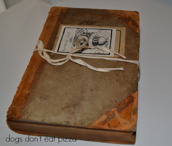 saving books one at a time - Dogs Don't Eat Pizza