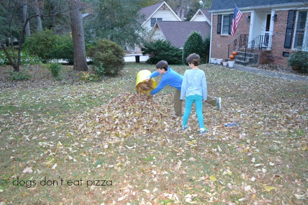 making leaf pile - Dogs Don't Eat Pizza
