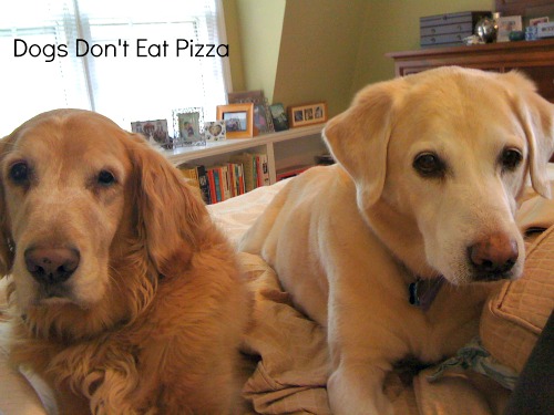 dogs keeping me company