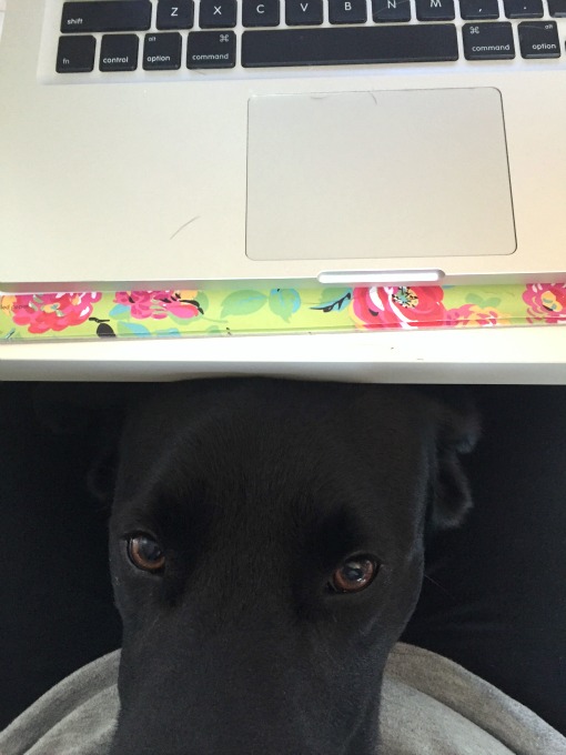 Elvis Is In the&nbsp;Building!