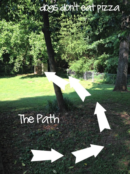 path-of-shed-from-patio-to-yard - Dogs-Don't-Eat-Pizza