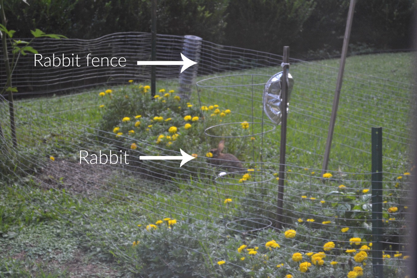 Why we need raised garden beds - thediybungalow.com