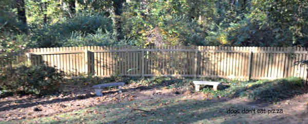 back of yard needs color and plants - Dogs Don't Eat Pizza