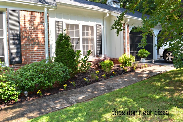 Finish It Friday: Yard&nbsp;Improvement