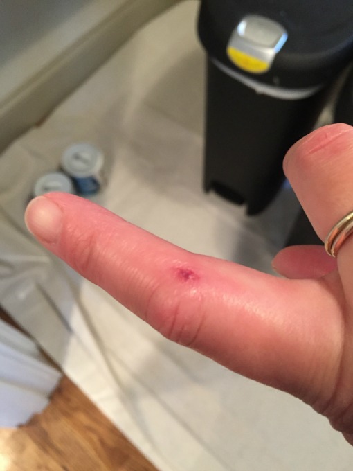 pantry demo 1, Karen 0 - thediybungalow.com