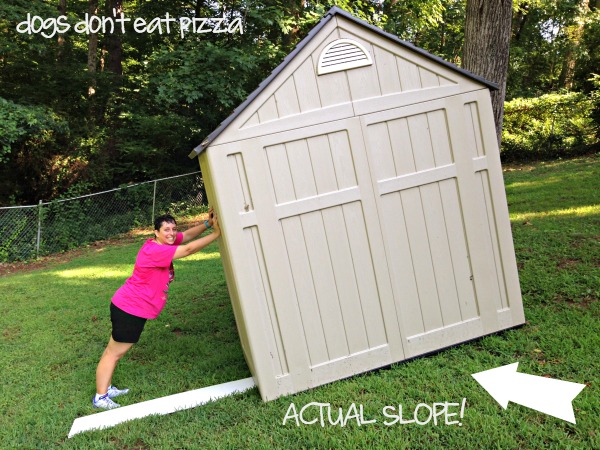 shed-down-sloped-grassy-hill - Dogs-Don't-Eat-Pizza